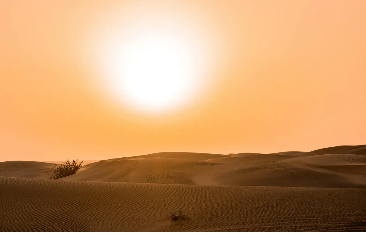 Understanding California Indoor Heat Illness Prevention Regulation